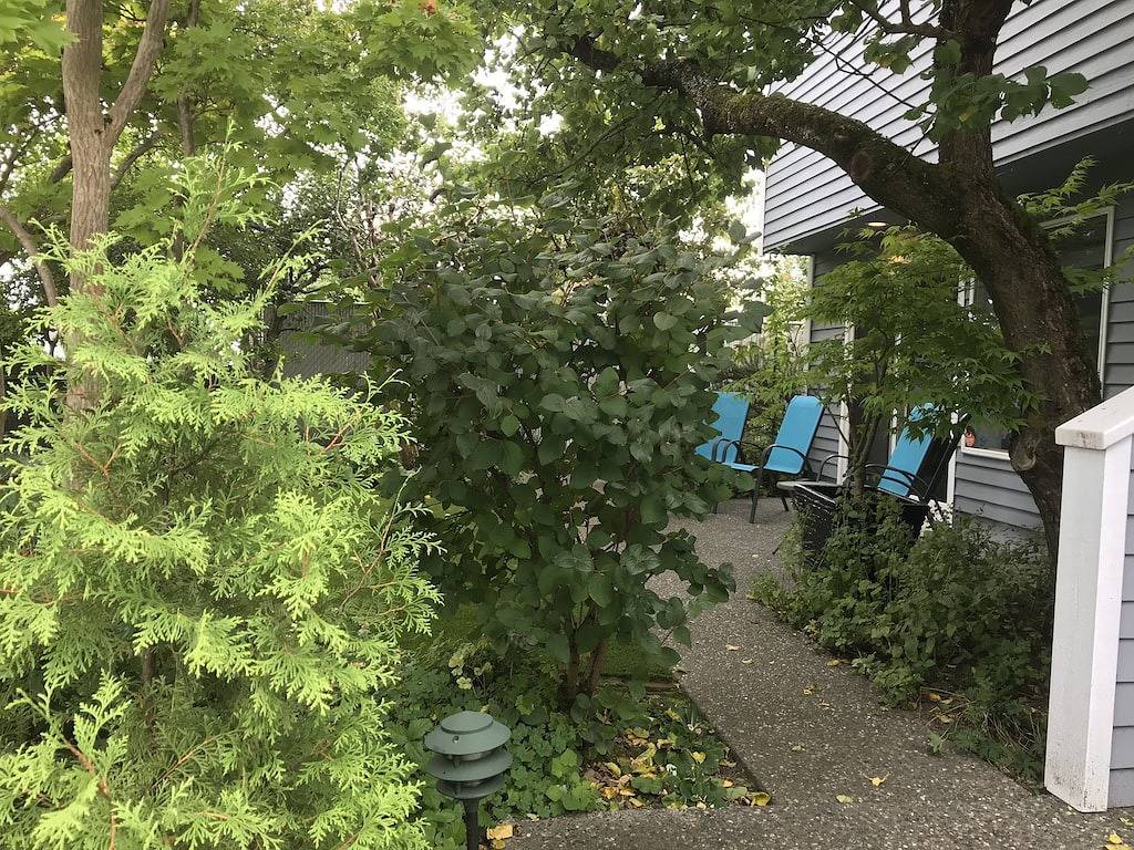 Cozy Everett apartment close to everything in Everett, Mount Baker-Snoqualmie Nationalwald