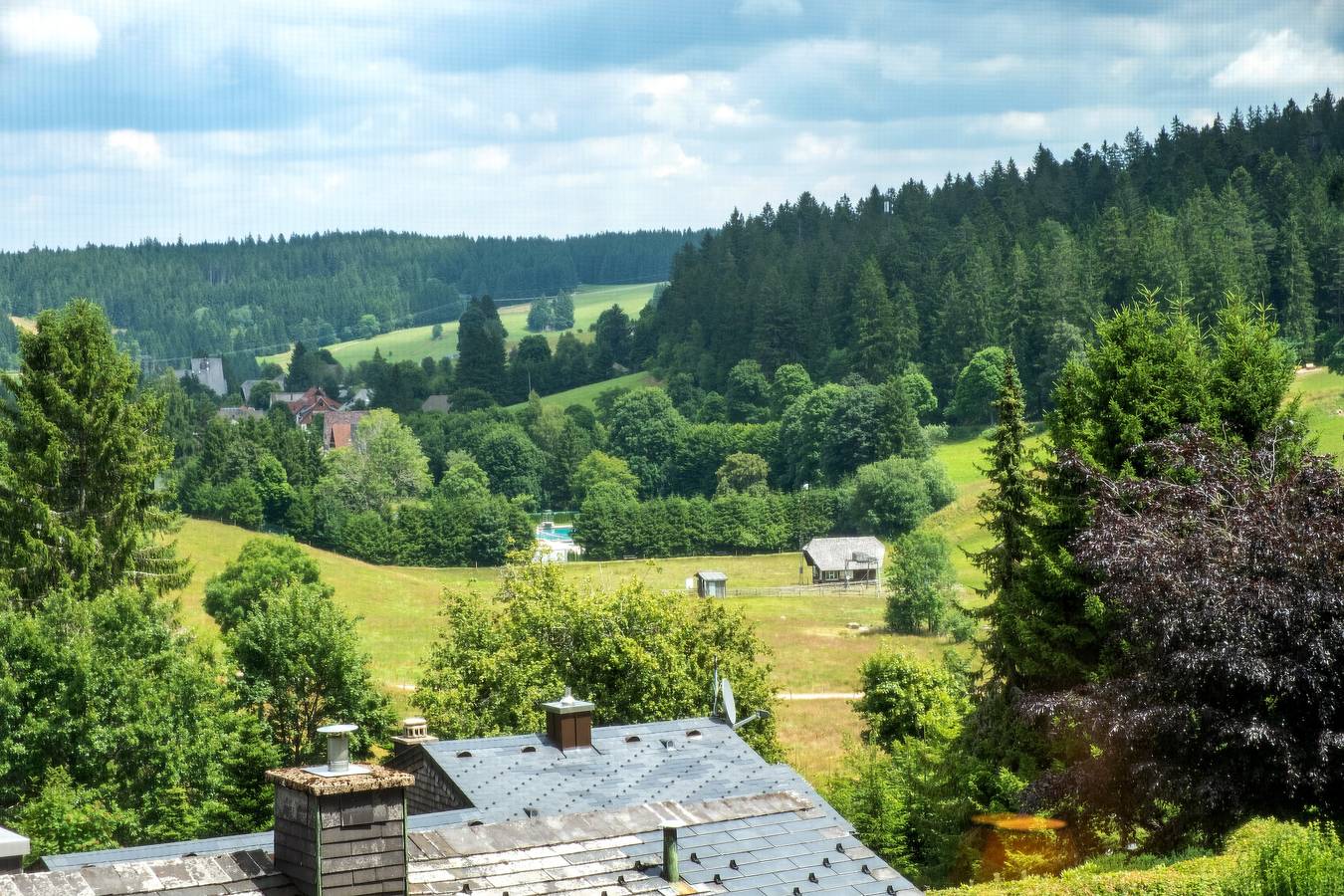 Ganze Wohnung, Ferienwohnung 'Ringelblume, 42qm' mit Balkon und Wi-Fi in Schönwald im Schwarzwald, Südschwarzwald