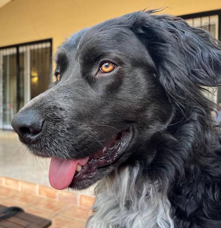 Location de vacances pour 2 personnes, avec vue ainsi que jardin et piscine, animaux acceptés à Llíber - 2