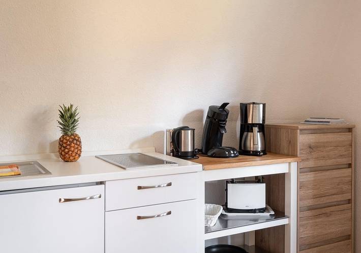 Ganzes Studio, Ferienhaus La Perla - "Apartment Seestern" in Überlingen, Region Bodensee-Oberschwaben