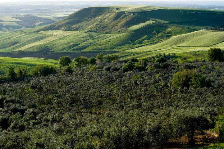 Gîte pour 4 personnes à Serracapriola - 3