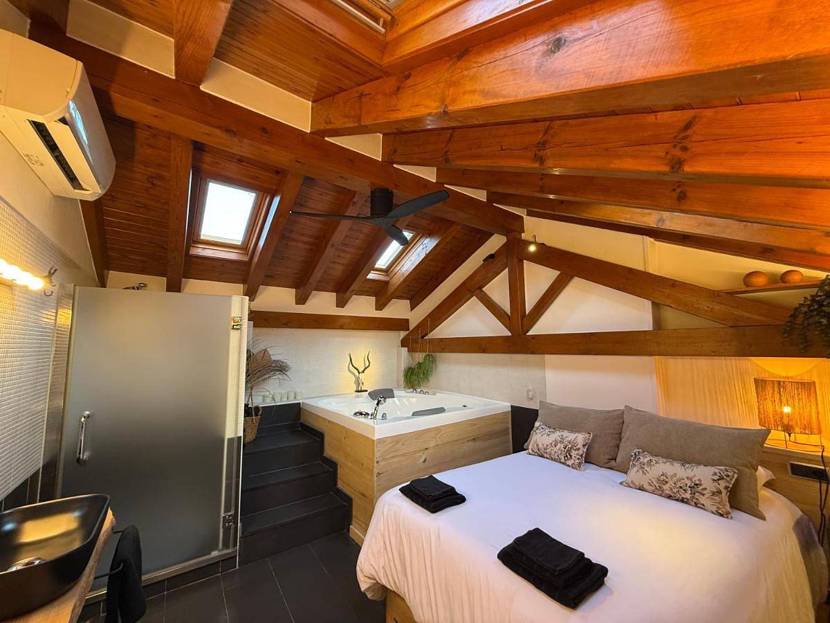 Apartamento entero, Lo Attic in Sort , Pirineo Catalan