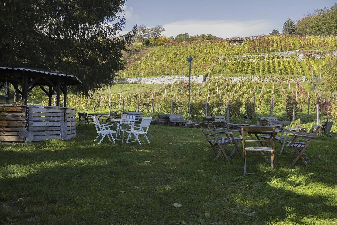 Ganze Ferienwohnung, Appartement/Fewo, Dusche, Wc in Naumburg, Saale-Unstrut