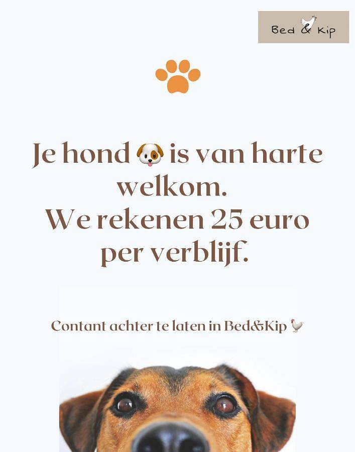 Maison d’hôte pour 2 personnes, avec jardin et vue, animaux acceptés aux Pays-Bas - 2