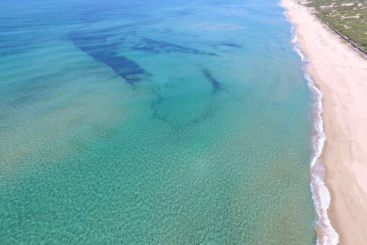 Gîte pour 4 personnes, avec piscine et jardin, animaux acceptés à Badesi - 2