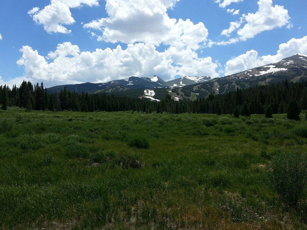 Ganze Wohnung, Neu renovierte Wohnung, nur wenige Schritte vom Main St & Gondola, schöne Aussicht in Arapaho and Roosevelt National Forests