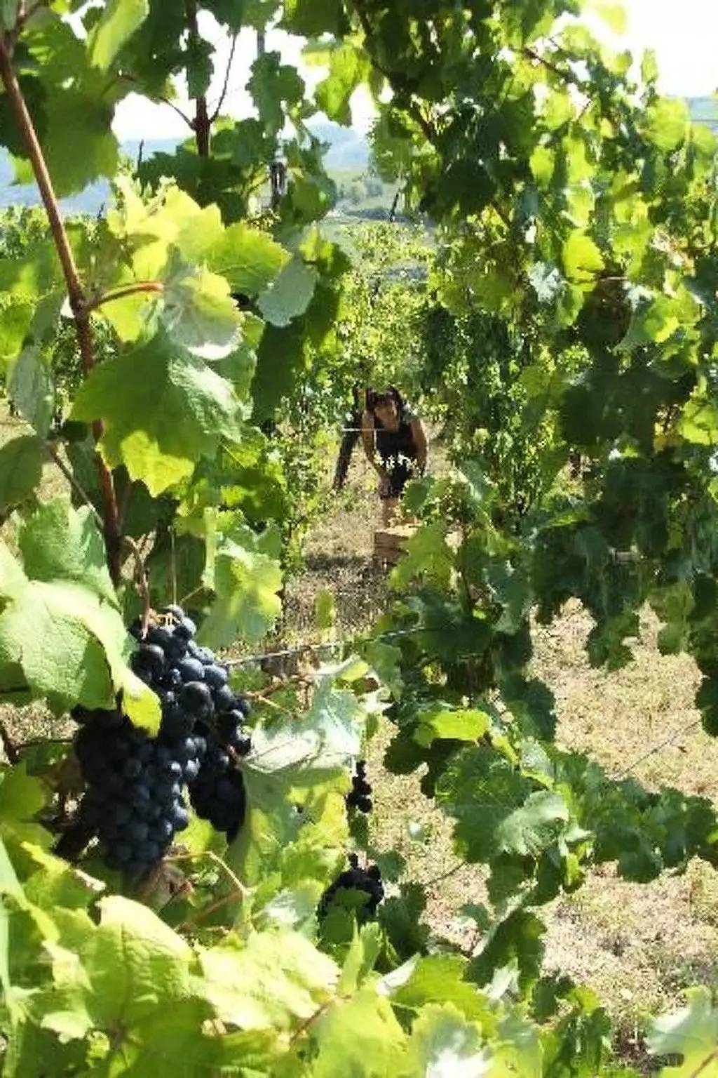 Apartamento entero, 3 estancias 2 Personas in Salsomaggiore Terme, Provincia de Parma