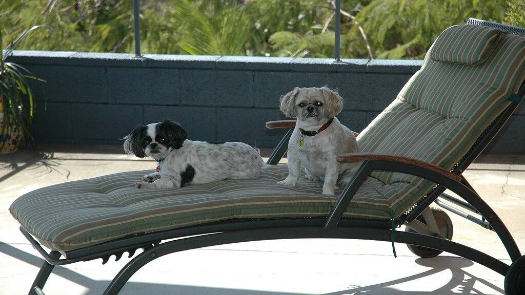 Geräumiges Broadwater-Haus mit riesigem privatem Pool und fantastischer Aussicht in Queensland