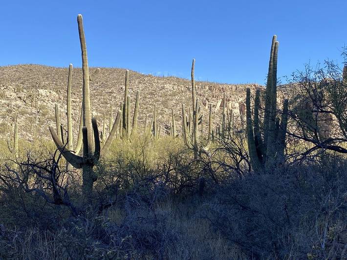 Maison d’hôte pour 2 personnes, avec jacuzzi dans Arizona - 4