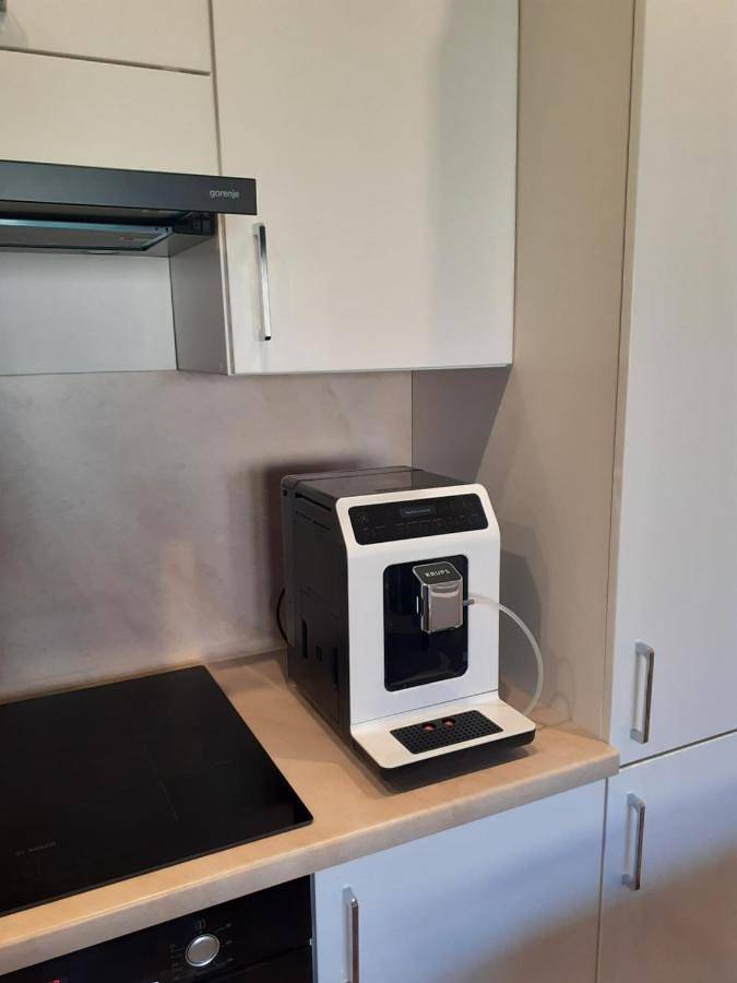 Cały apartament, Academy Apartment Cieszyn in Cieszyn, Karpaty (Polska)