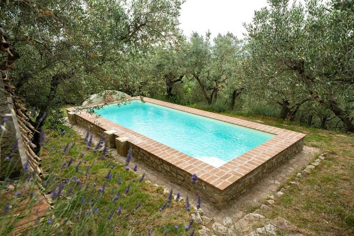 Agriturismo per 8 persone, con giardino e piscina nonché panorama, con animali domestici in Collazzone