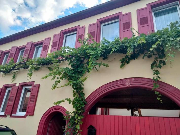 Ferienwohnung, mit Terrasse und Ausblick in Edenkoben - 3