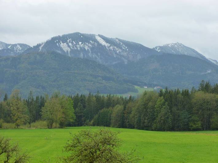 Bauernhof für 3 Personen, mit Garten am Chiemsee - 4