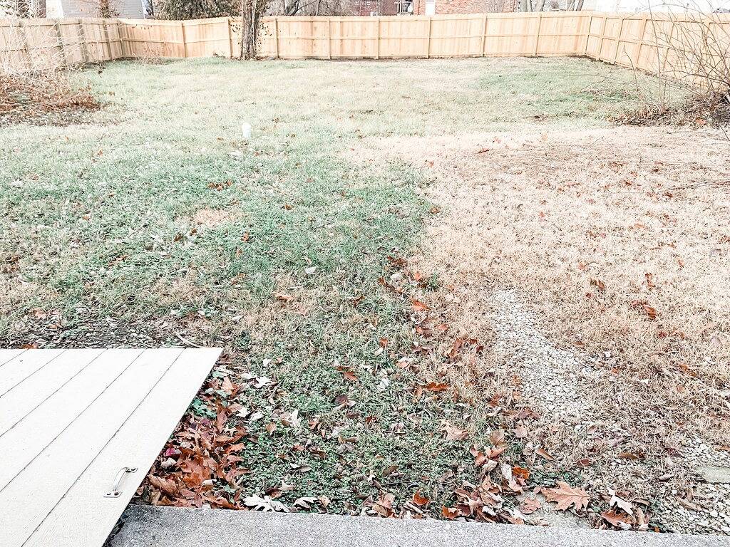 Spacious, updated and centrally located 4bed/2bath in Columbia (MO), Missouri