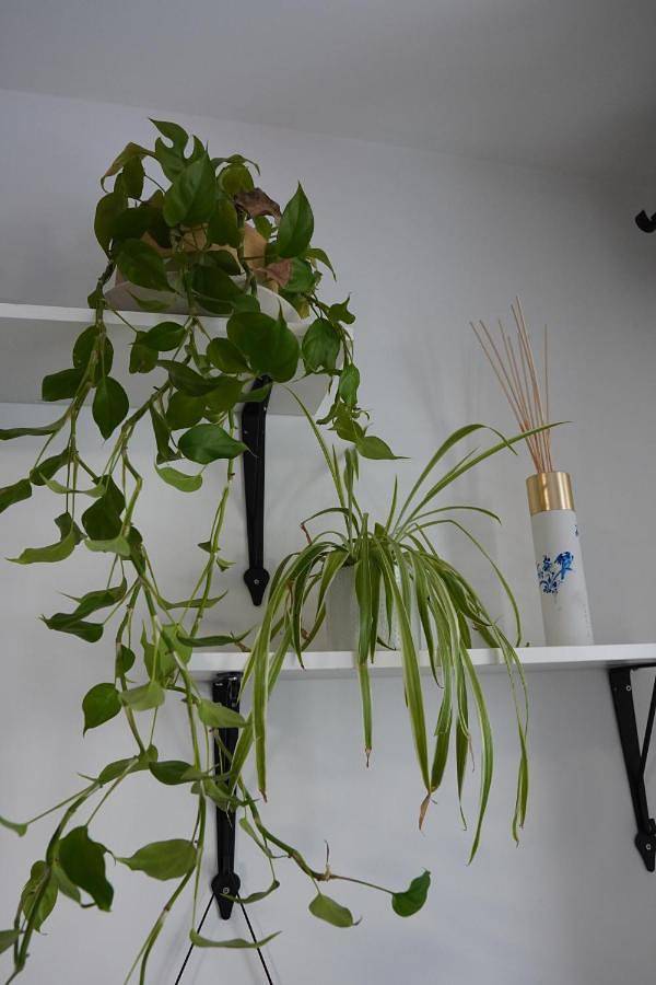 Gîte pour 6 personnes, avec terrasse à Le Pré-Saint-Gervais - 4