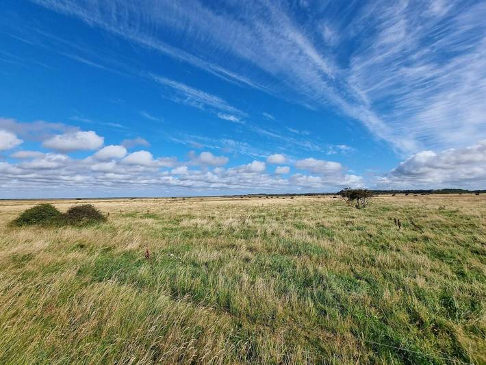 Ferienhaus für 10 Personen, mit Terrasse, kinderfreundlich in Skaven Strand - 4