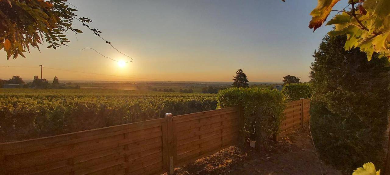 Ganze Wohnung, Wohnung in den Weinbergen in Wachenheim, Pfälzer Rheinebene