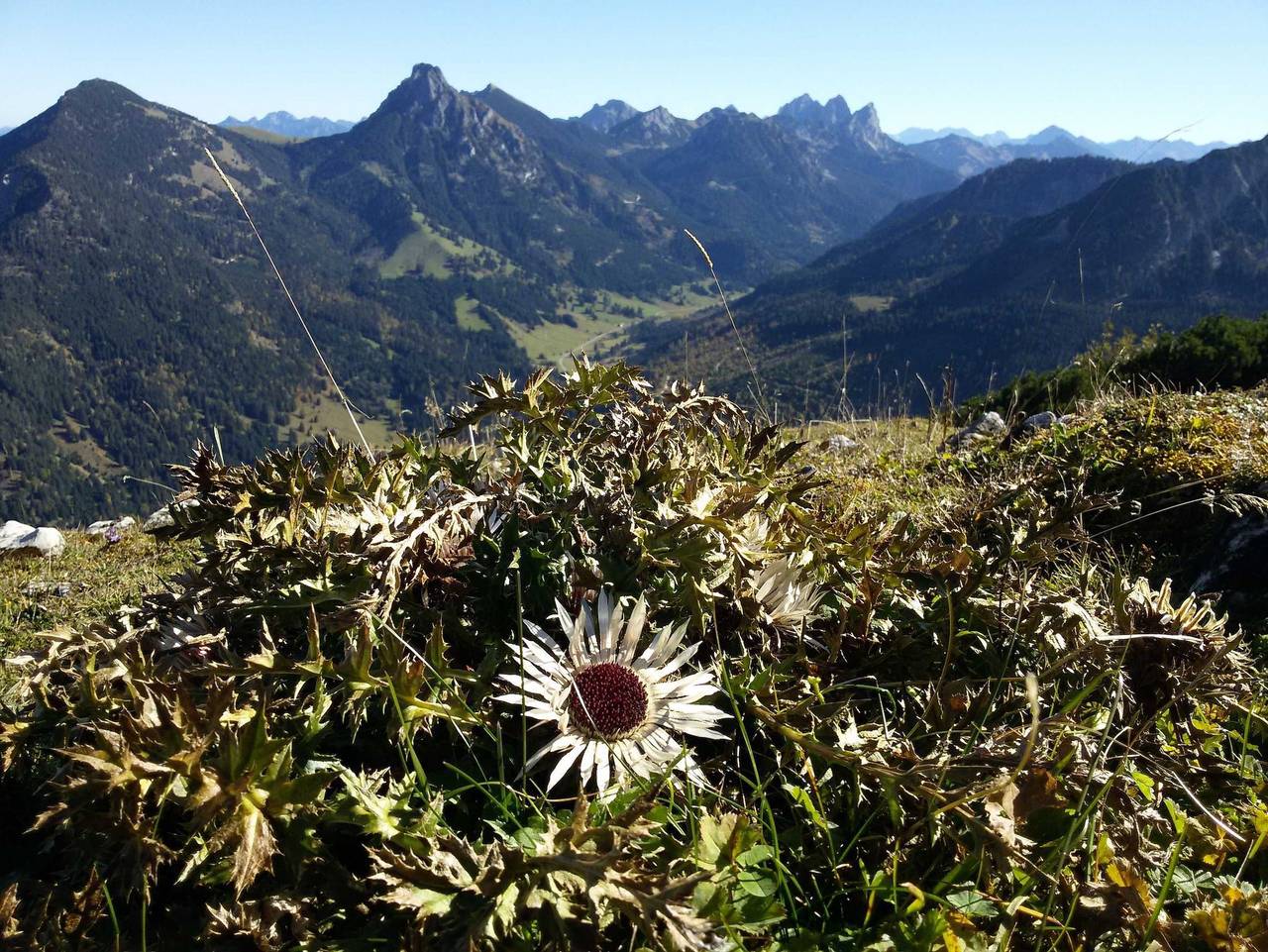 Ganze Ferienwohnung, Pension Tannheim - Familie Kleiner und Neumann - Doppelzimmer Gaißhorn ohne Balkon in Tannheim (Tirol), Allgäuer Alpen (Österreich)