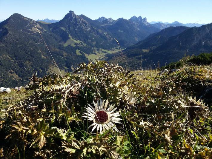 Ferienwohnung für 3 Personen, mit Garten in Tirol - 2