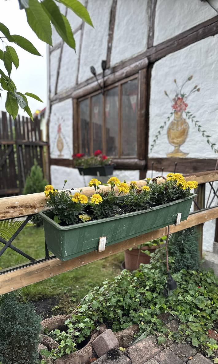 Ferienwohnung für 5 Personen, mit Balkon/Terrasse und Terrasse sowie Garten in Schmalkalden - 4