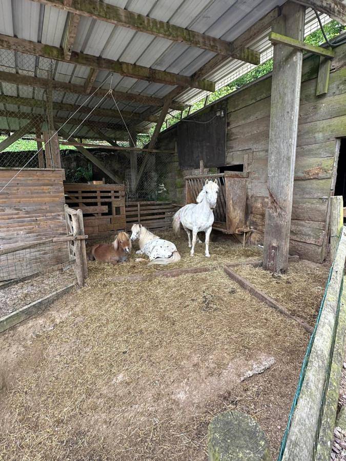Tente pour 2 personnes, avec vue et jardin dans le Calvados - 3