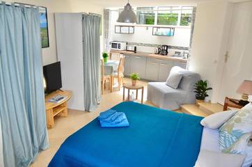 Chambre d’hôte pour 3 personnes, avec terrasse et jardin à Ivry-sur-Seine