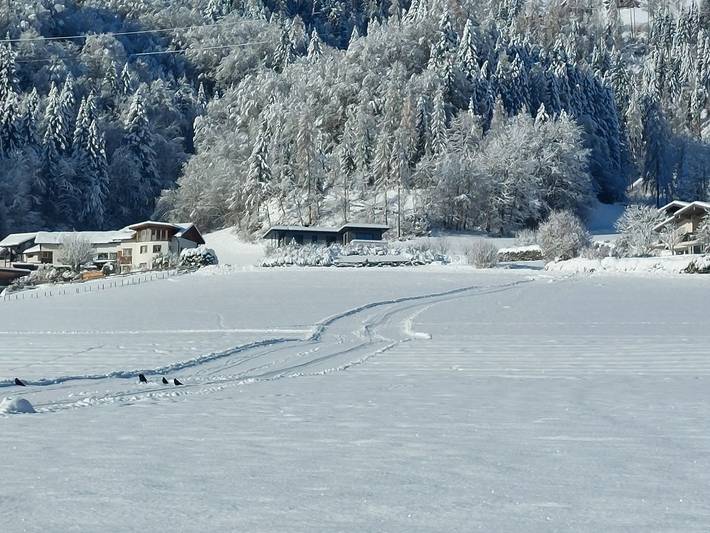 Ferienhaus für 10 Personen, mit Garten und Ausblick in Bischofshofen - 3