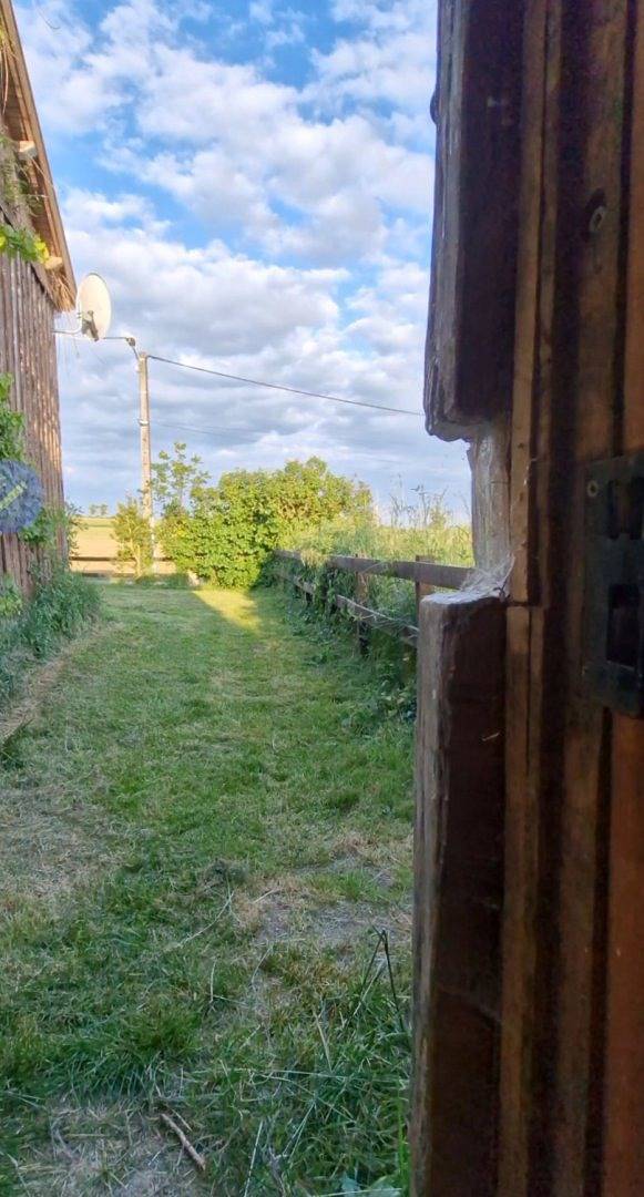 Gîte pour 4 personnes, avec jacuzzi ainsi que terrasse et jardin, animaux acceptés dans Haute-Marne - 3