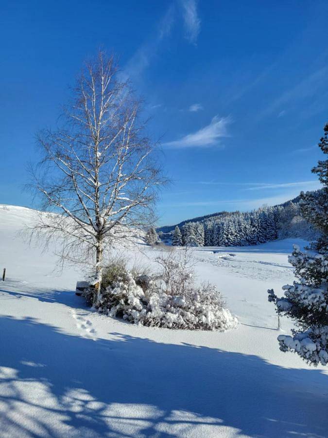 Hôtel pour 2 personnes, avec jardin et vue à Chaux-Neuve - 4