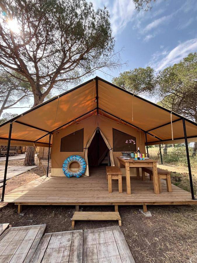 Location de vacances pour 5 personnes, avec piscine et jardin, animaux acceptés dans la Tamarissière - 2