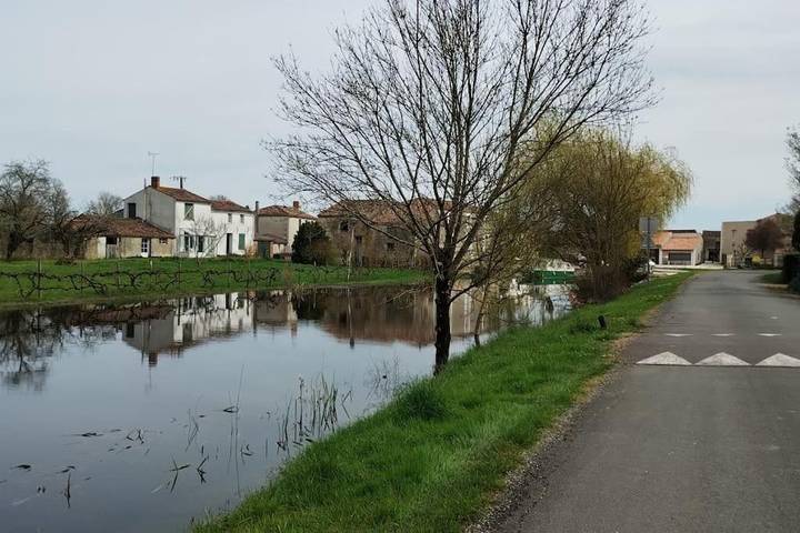Location de vacances pour 6 personnes, avec jardin et vue à Maillé - 4