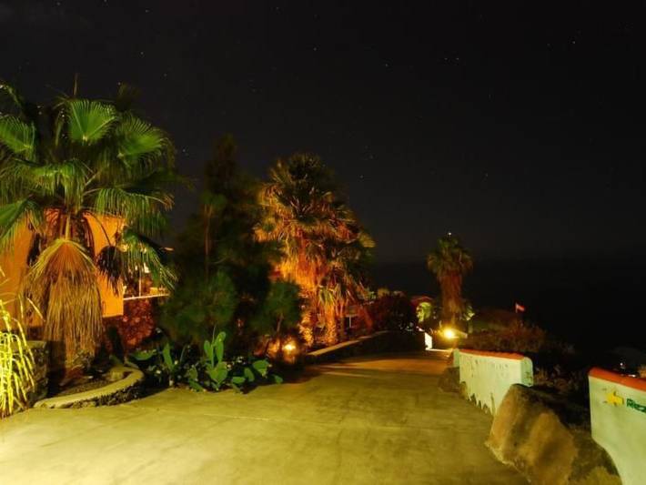 Morani in Puerto Naos, Tazacorte
