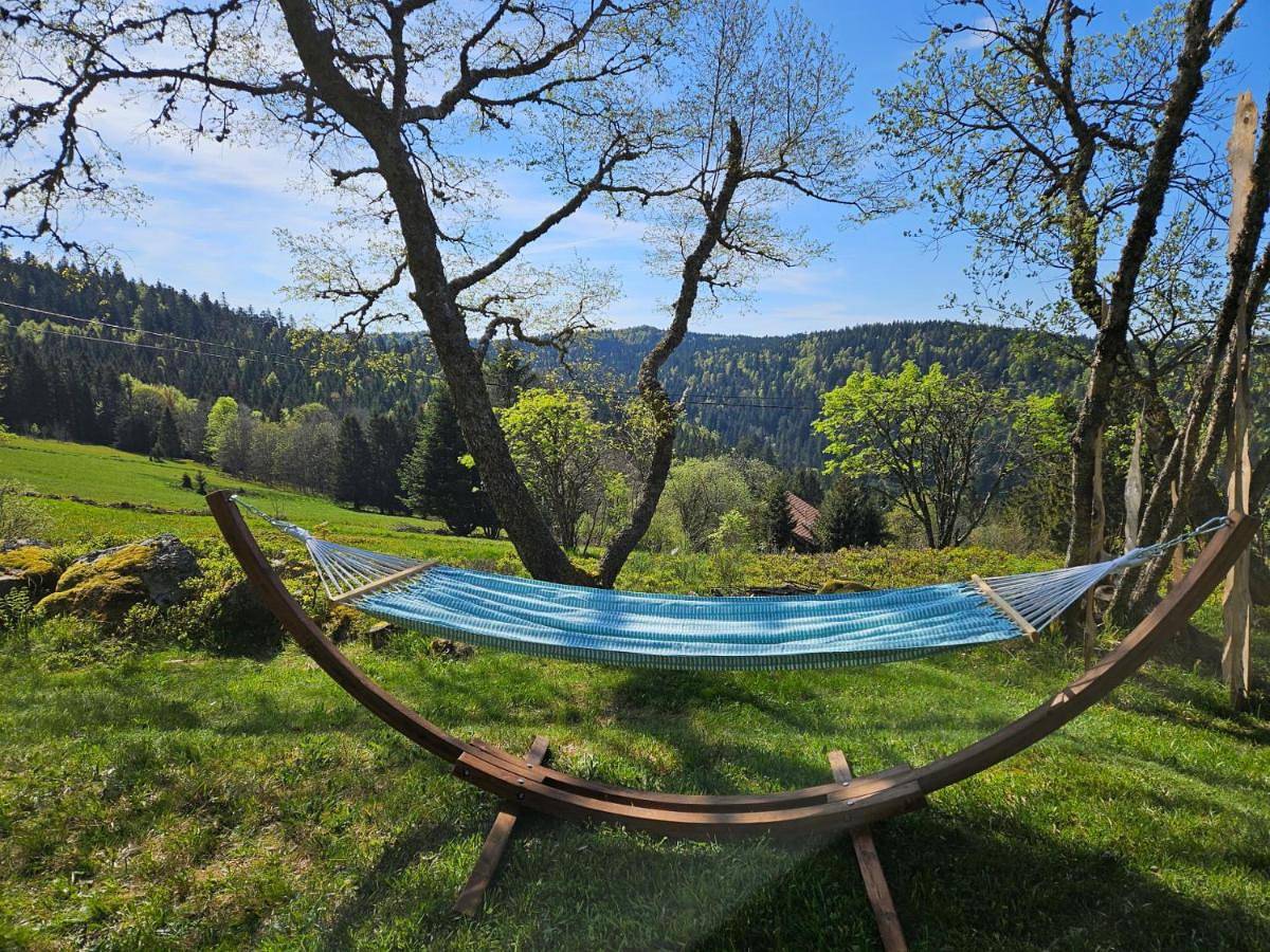 Chalet Perle des Hauts in Gérardmer, Parc naturel régional des Ballons des Vosges