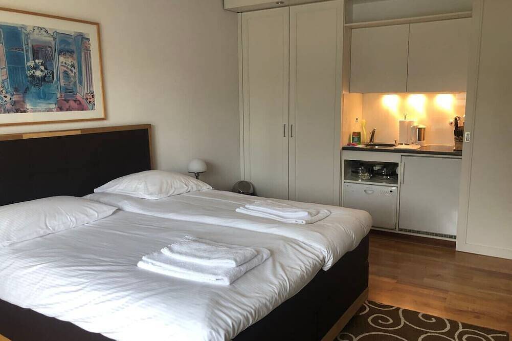 Entire apartment, Charming Studio/Old town (Uz3) in Zurich, Zurich district