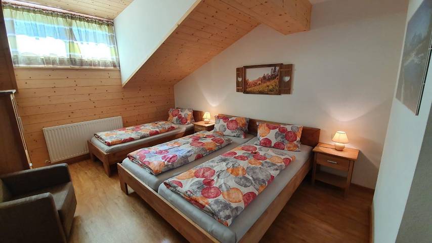 Ganze Ferienwohnung, Apartment/3 Schlafräume/Dusche, Bad, Wc in Filzmoos, Tennengau