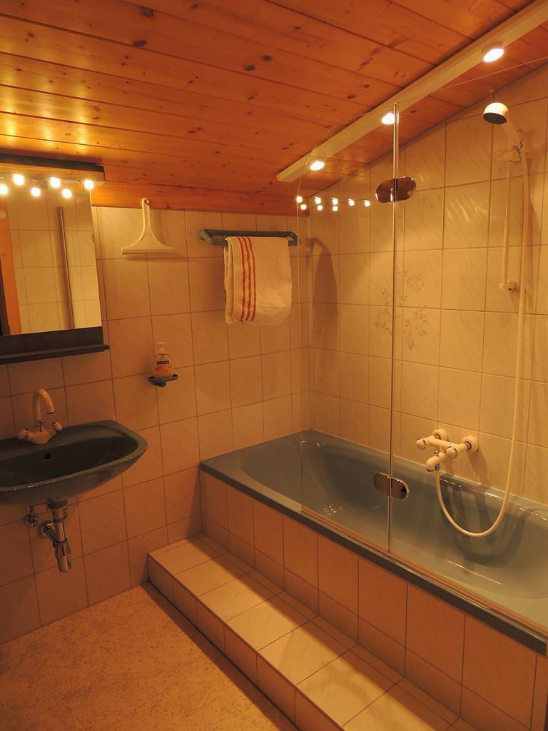 Ganze Ferienwohnung, Apartment/2 Schlafräume/Dusche, Bad, Wc in Dölsach, Osttirol