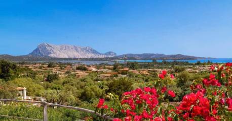 Villa per 10 Persone in San Teodoro, Olbia-Tempio, Foto 4