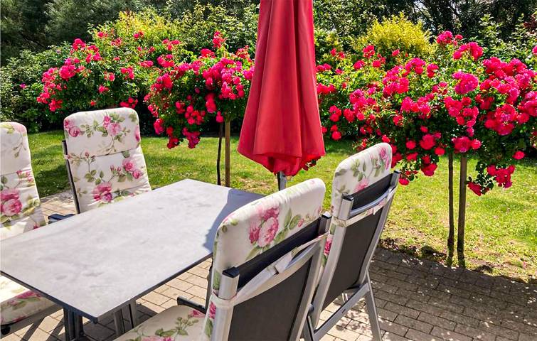 Ferienhaus für 4 Personen, mit Sauna und Terrasse, mit Haustier in Dagebüll - 3