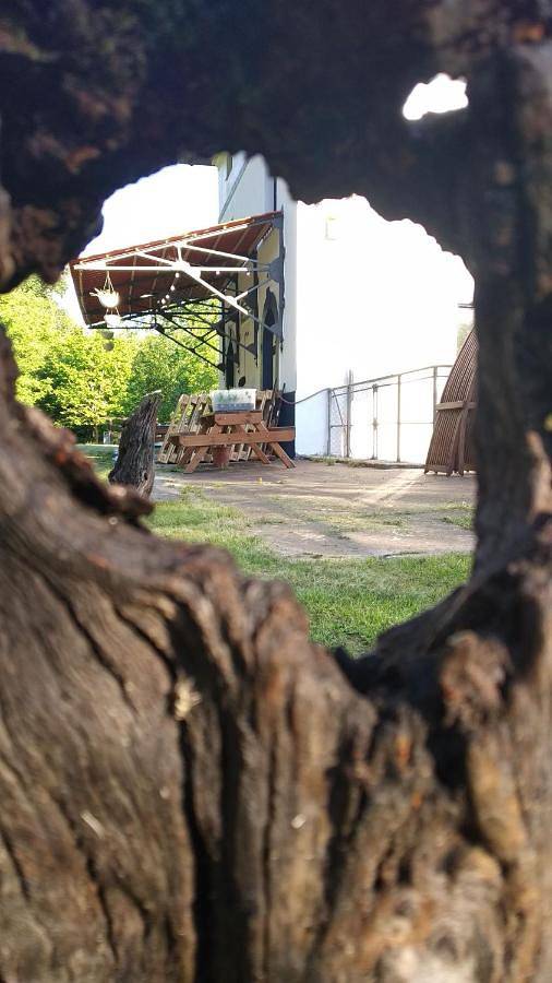 Casa rural para 18 personas, con Terraza y Jardín en Musques - 3