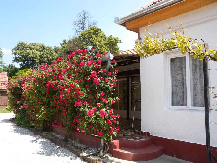 Ferienhaus mit gemütliche Terrasse und Klimaanlage in Balatonbereny, Plattensee Südufer