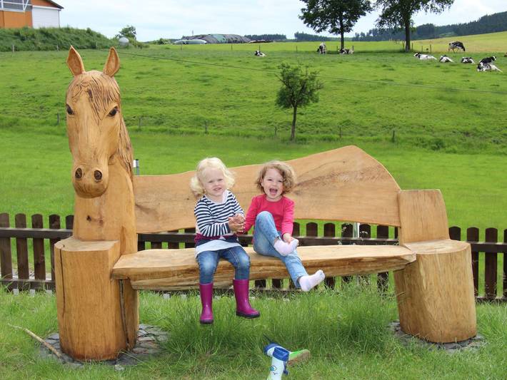 Ferienhaus für 6 Personen, mit Garten und Whirlpool sowie Sauna, kinderfreundlich im Sauerland - 2