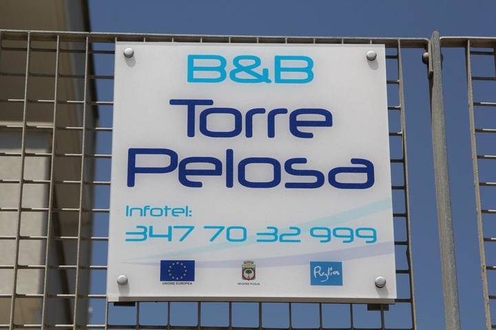 Location de vacances pour 2 personnes, avec vue et terrasse, animaux acceptés dans Torre a Mare - 2