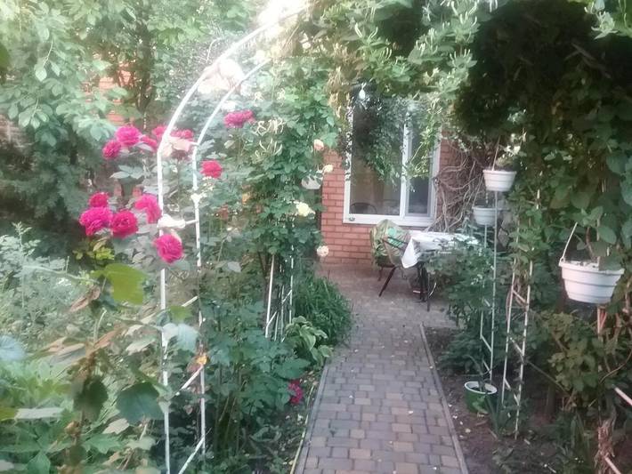 Maison d’hôte pour 4 personnes, avec terrasse ainsi que vue et jardin à Odessa - 4