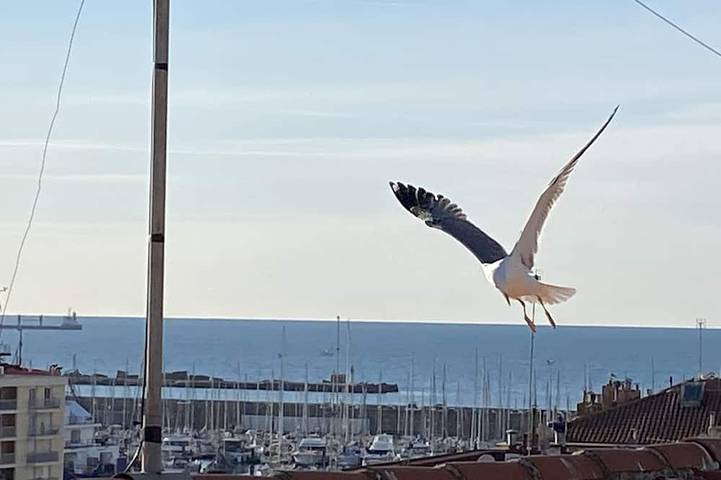 Gîte pour 3 personnes, avec Balcon dans Office de Tourisme de Sète