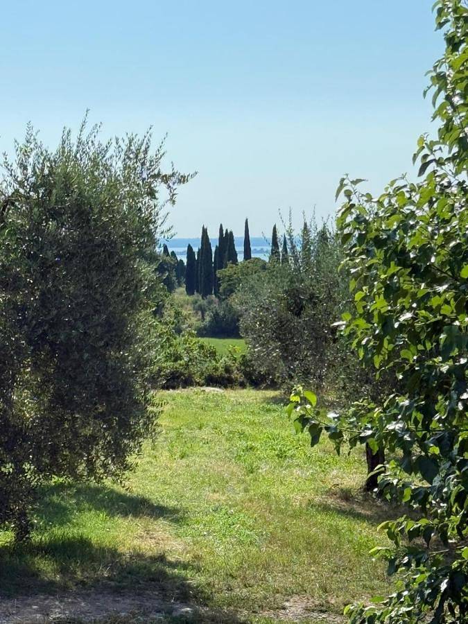 Padenghe Olive House - Ground-Floor Lake View Amid Olives in Padenghe sul Garda, Gardasee-Berge
