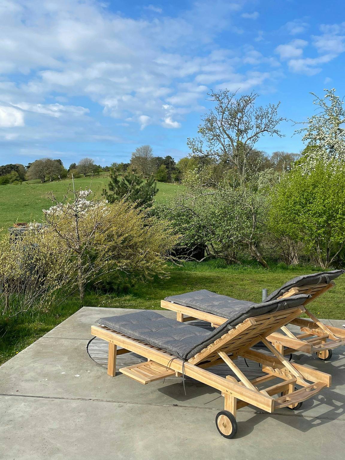 Ganze Wohnung, Refugie mit schöner Aussicht in Veddinge Bakker in Veddinge, Fårevejle