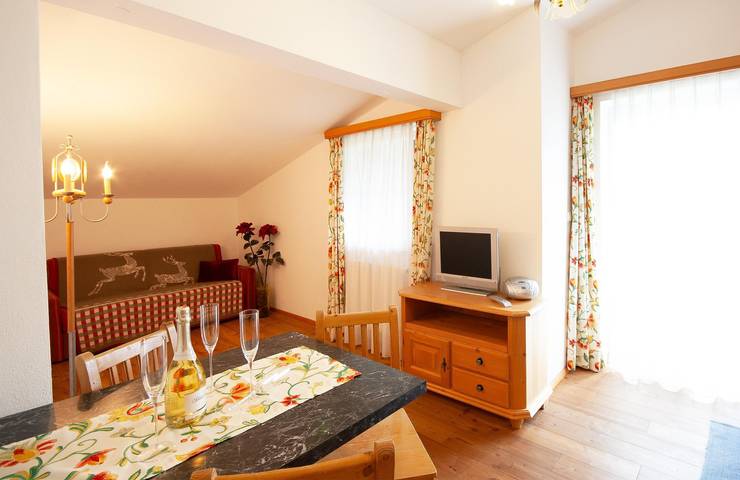 Ganze Ferienwohnung, App. Sternenhimmel, 2. Stock Nr. 3 in Goldegg, Ski Amadé