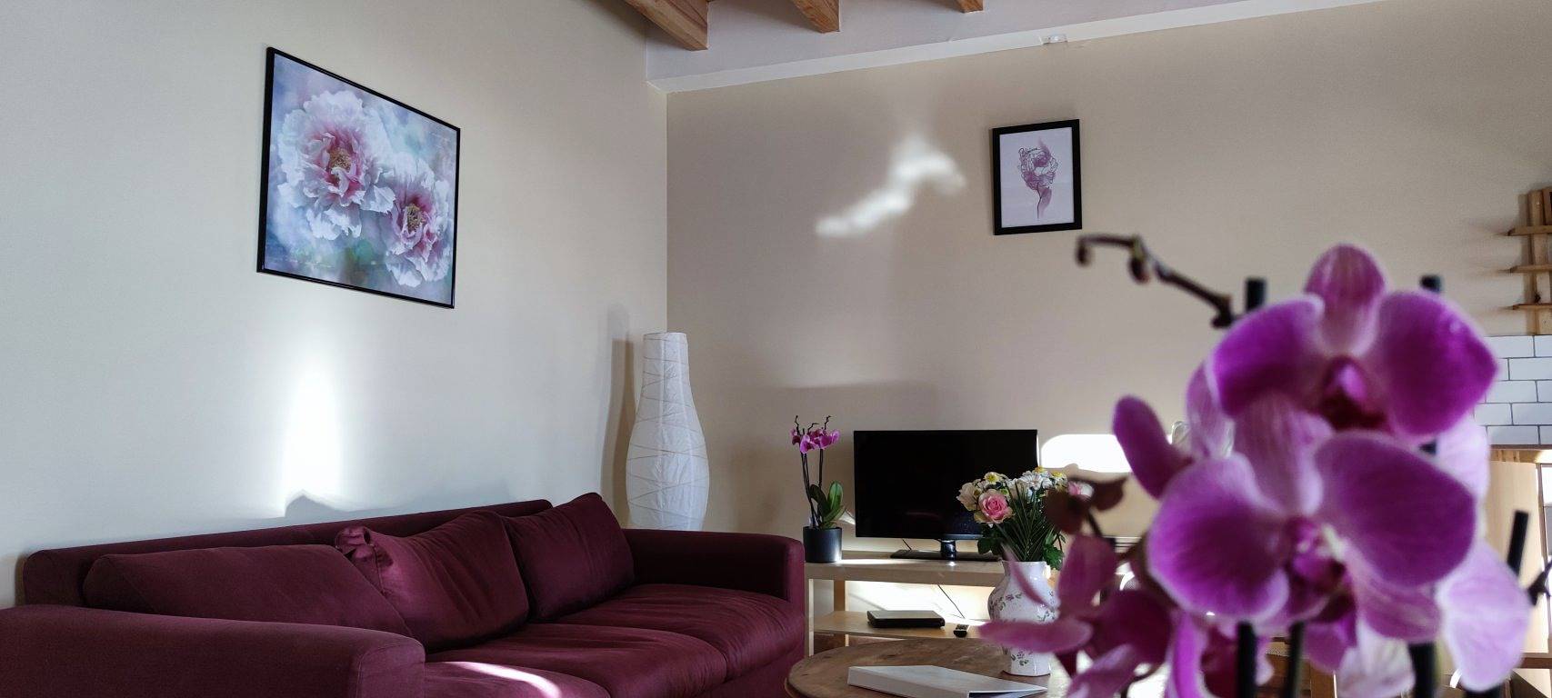 Gite Pivoine - Les Gîtes du Roc, spa et piscine chauffée in Bournazel, Aveyron