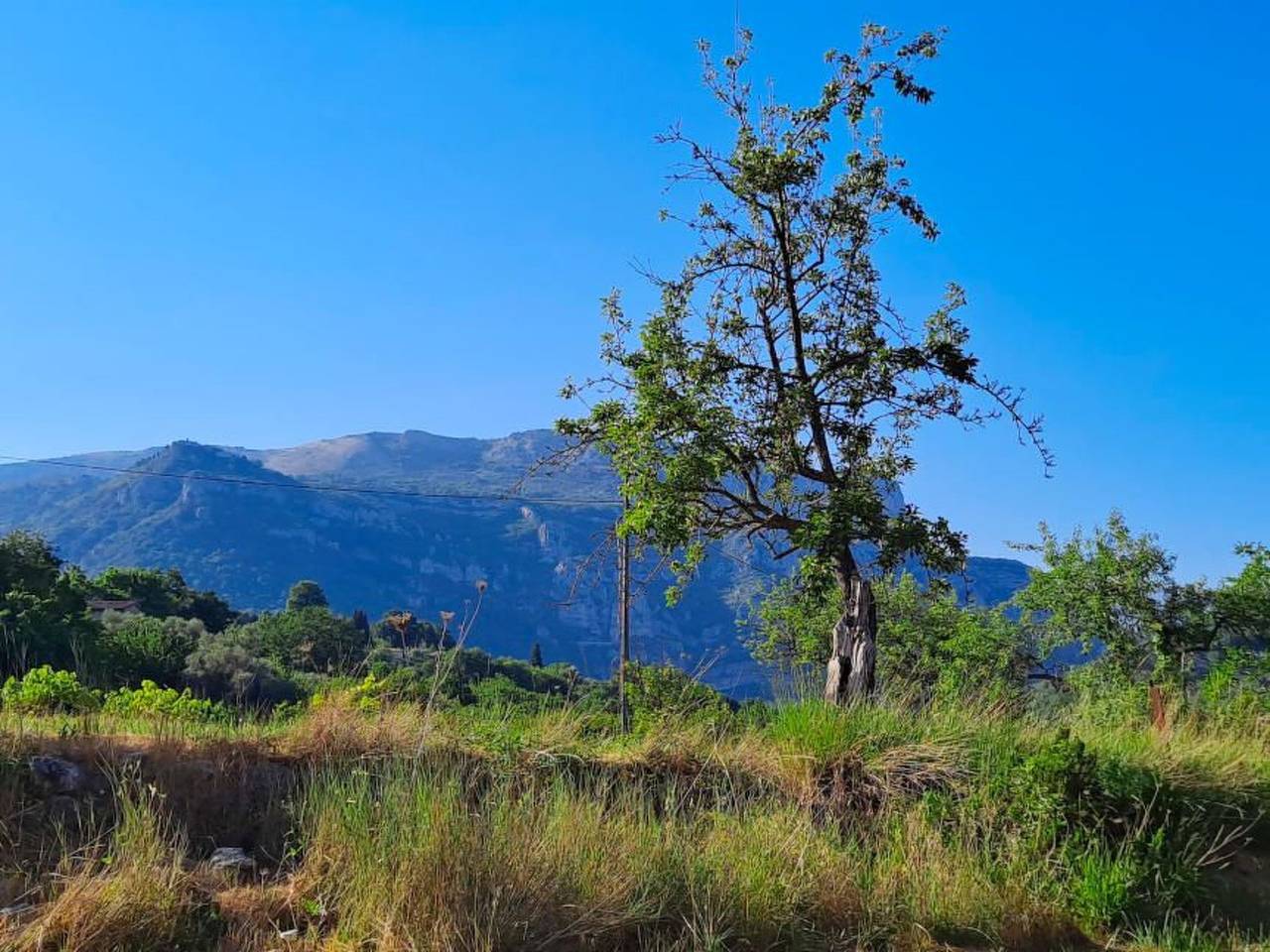 "Maison du Paysan" (Bauernhaus) in Le Bar-sur-Loup, Region de Cannes