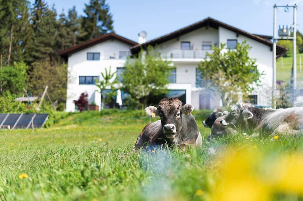 Ganze Wohnung, Haus Oberzöhr App 2 - Olympia 2026 Langlauf, Nordische Kombination, Skispringen in Deutschnofen, Eggental